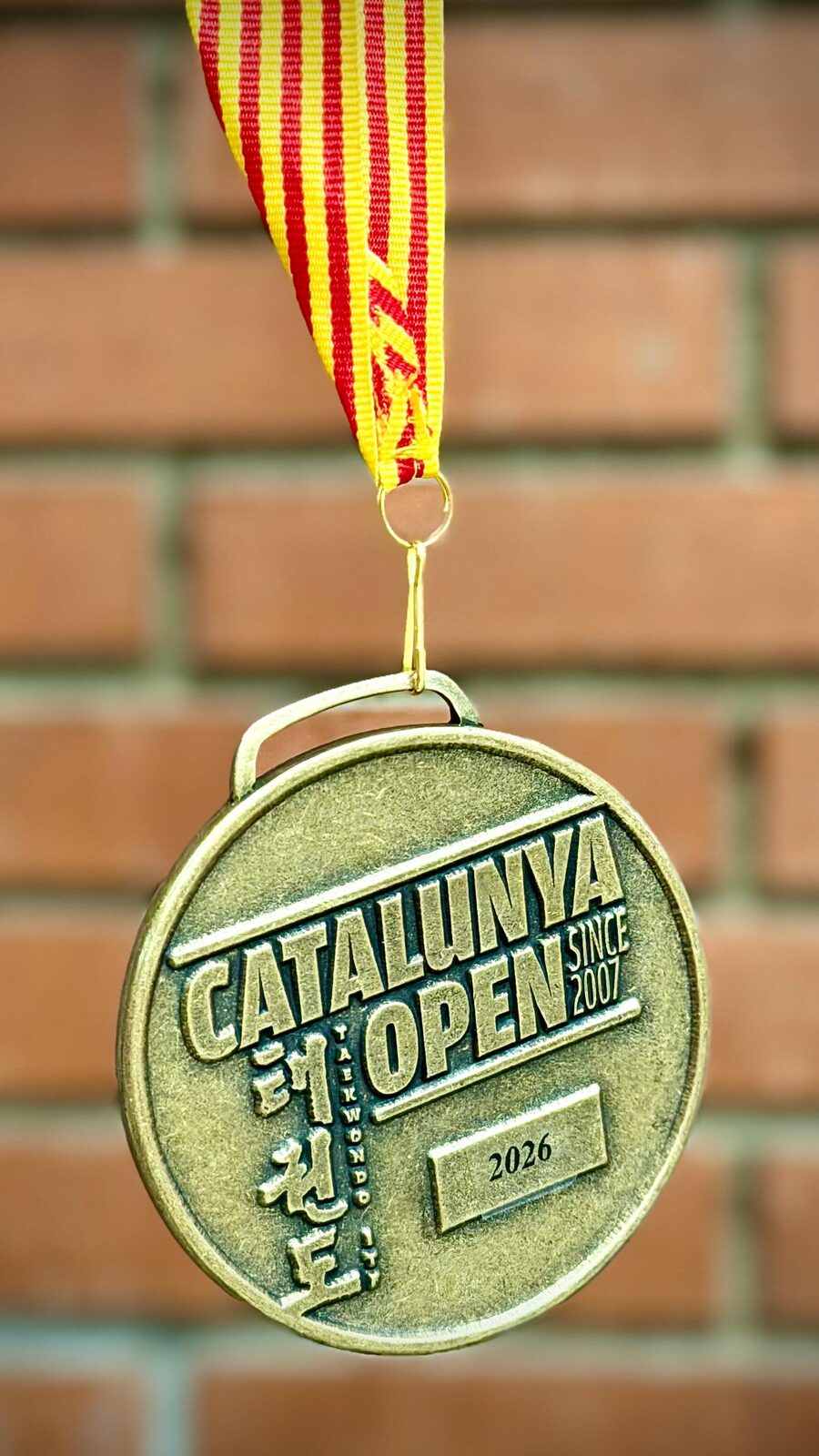 Infinidad de campeonatos ganados — academia de artes marciales en Tudela