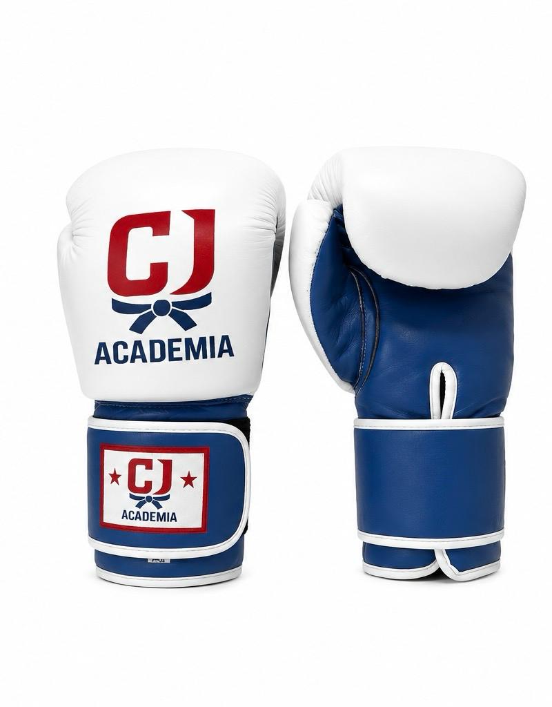 Guantes de boxeo (10/12/14 oz) — material de CJ Academia Tudela